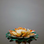 Ryan Chesla Photography - Travel China 2011 - Orange Lotus